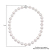 White Shell Pearl