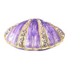 Sea Shell