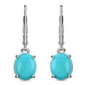 Iliana 18K White Gold AAA Sleeping Beauty Turquoise Lever Back Earrings 2.15 Grams 4.15 ctw - Sticky add to cart bar