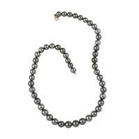18K Yellow Gold Lobster Lock AAA Tahitian Cultured Pearl Necklace 18 Inches