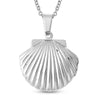 Sea Shell