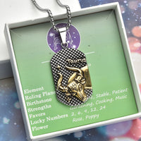 Pisces Dog Tag Pendant Necklace 23.5 Inches in ION Plated YG and Black Oxidized Stainless Steel