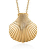 Sea Shell