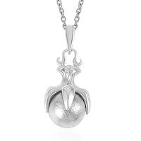 Marvelous Meteorite Eagle Claw Pendant in Sterling Silver and Stainless Steel Necklace 20 Inches