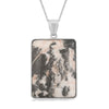 Zebra Jasper