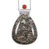 Fossil Jasper