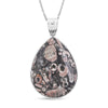 Insect Fossil Jasper
