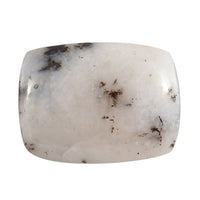 Dendritic Agate (Cush 16x12 mm) 6.40 ctw