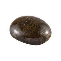 AA Golden Amphibolite (Ovl 18x13 mm) 10.24 ctw