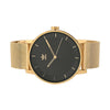Gold & Black
