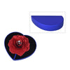 Red & Blue