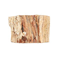 Petrified Wood Branches- M (Approx. 3602ctw) - Sticky add to cart bar