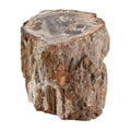 Petrified Wood Branches- S (Approx. 5216ctw) - Sticky add to cart bar