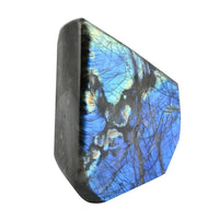Labradorite Free Form -XXL Approx. 18597ctw
