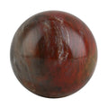 Petrified Wood Sphere 2-3 Inches -S (Approx. 1020 ctw) - Sticky add to cart bar