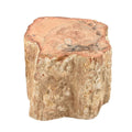 Petrified Wood Branches -S (Approx. 1305 ctw) - Sticky add to cart bar