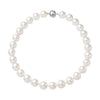 White Shell Pearl