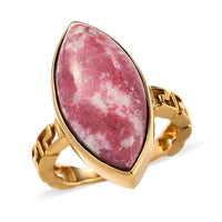 KARIS Norwegian Thulite Solitaire Ring in ION Plated 18K Yellow Gold (Size 10.0) 9.25 ctw