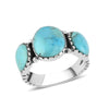 Kingman Turquoise