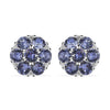 Tanzanite Crystal