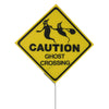 Ghost Crossing