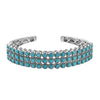 Sleeping Beauty Turquoise