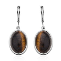 Lapis Lazuli Lever Back Earrings in Stainless Steel 10.00 ctw