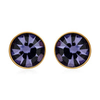 Purple Austrian Crystal Stud Earrings in ION Plated YG Stainless Steel