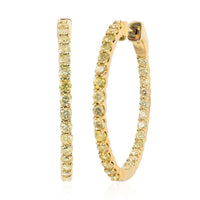 NY Closeout 10K Yellow Gold Natural Yellow Diamond Hoop Earrings 6.60 Grams 2.00 ctw