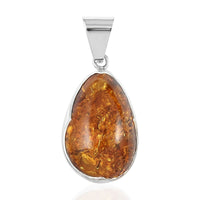 Baltic Amber Fossilized Pendant in Sterling Silver