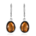 South African Tiger's Eye Earrings in Stainless Steel 6.15 ctw - Sticky add to cart bar