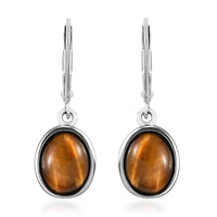 South African Tiger's Eye Earrings in Stainless Steel 6.15 ctw