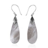 Abalone Shell