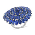 Kashmir Kyanite Floral Ring in Platinum Over Sterling Silver (10 g) 29.85 ctw - Sticky add to cart bar