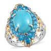 AMERICAN Natural Sleeping Beauty Turquoise