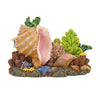 Sea Shell