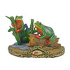 Tree Frog