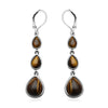 South African Yellow Tigers Eye