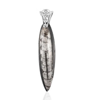 Artisan Crafted Orthoceras Pendant in Sterling Silver 78.60 ctw