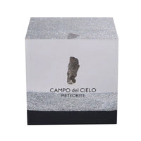 Campo Del Cielo Marvelous Meteorite Specimen