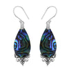 Abalone Shell