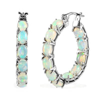 Premium Ethiopian Welo Opal Hoop Earrings in Platinum Over Sterling Silver 6.65 ctw
