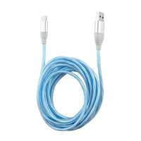 Vista Tech 10ft USB Type-C LED Flowing Charging Cable -Blue