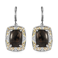Karis Matrix Silver Shungite Solitaire Lever Back Earrings 18K YG Plated and Platinum Bond 9.85 ctw
