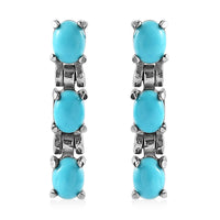 Sleeping Beauty Turquoise Dangle Earrings in Stainless Steel 1.00 ctw