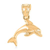 Dolphin