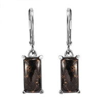 Matrix Silver Shungite 3.75 ctw Lever Back Earrings in Stainless Steel
