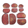 Burgundy Floral Print