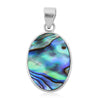 Abalone Shell