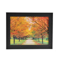 Witch 3D Holographic Painting 3 Images in 1 Picture Frame - Sticky add to cart bar
